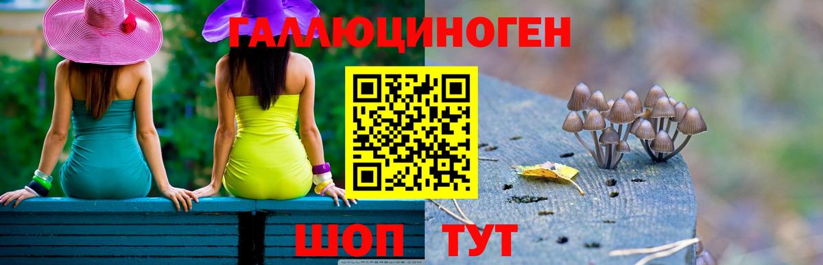 Псилоцибиновые грибы Psilocybine cubensis  где можно купить наркотик  Галлюциногенные грибы мухоморы  Самара  Вход с VPN 